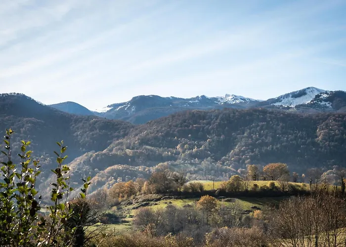Bergerie Avec Vue Pyrénées * Peyrouse